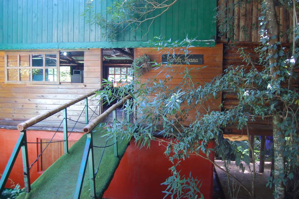 Panambi Lodge B&B ปูแอร์โตอีกวาซู ภายนอก รูปภาพ