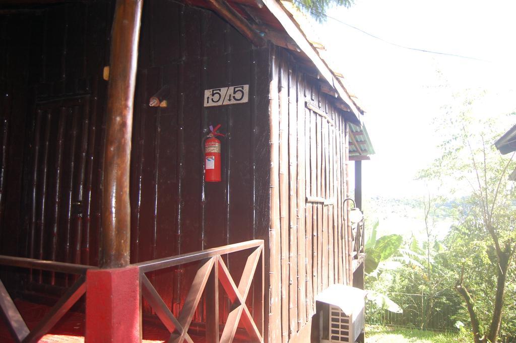 Panambi Lodge B&B ปูแอร์โตอีกวาซู ภายนอก รูปภาพ