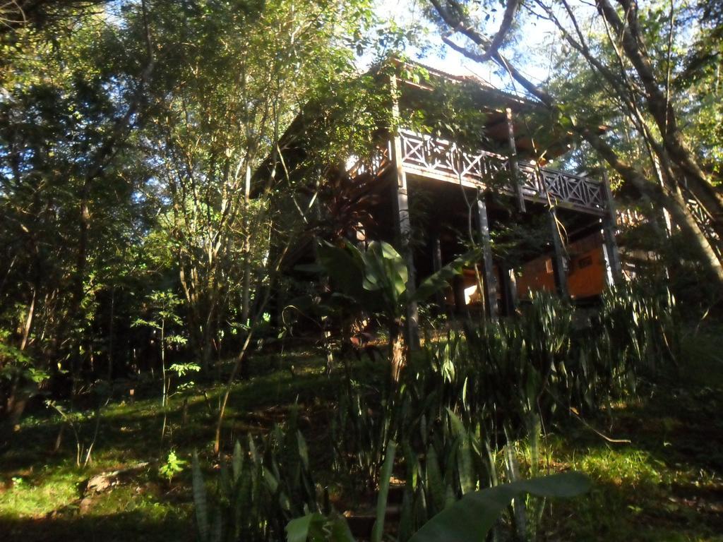 Panambi Lodge B&B ปูแอร์โตอีกวาซู ภายนอก รูปภาพ