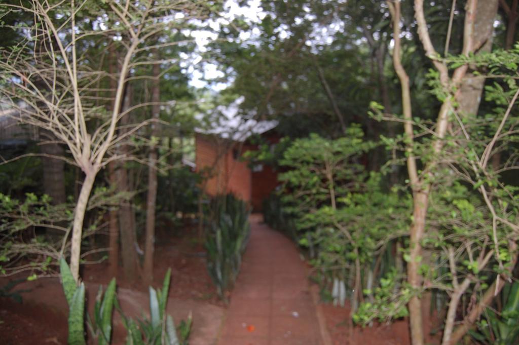 Panambi Lodge B&B ปูแอร์โตอีกวาซู ภายนอก รูปภาพ
