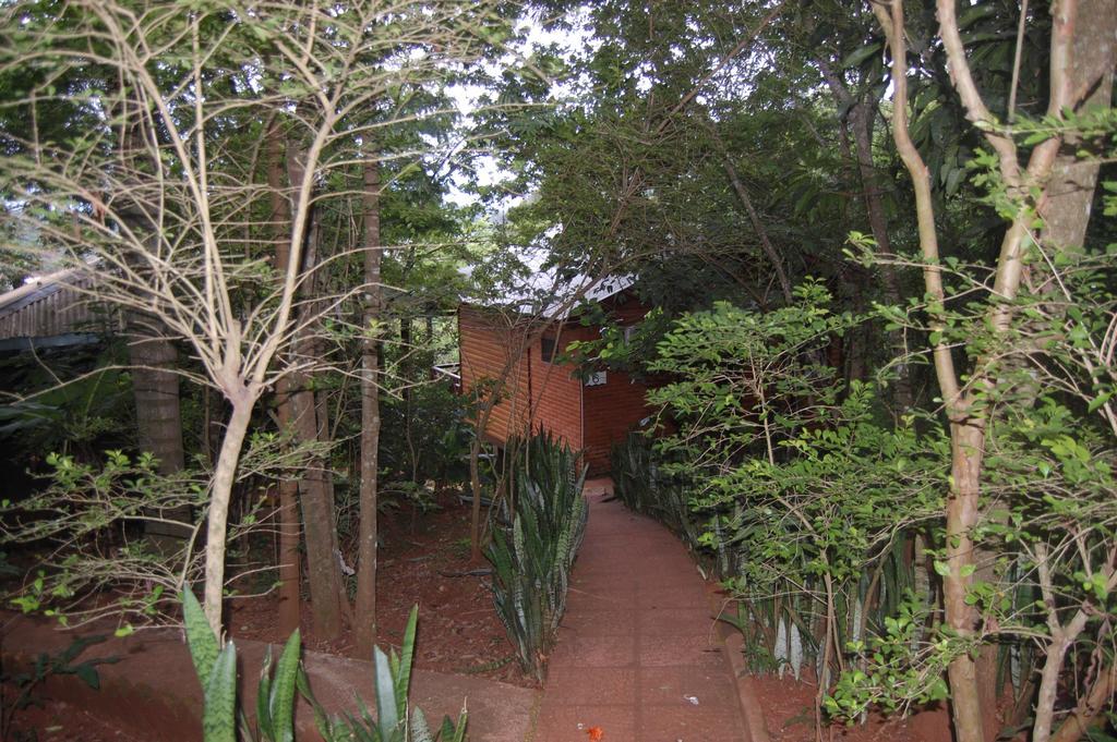 Panambi Lodge B&B ปูแอร์โตอีกวาซู ภายนอก รูปภาพ