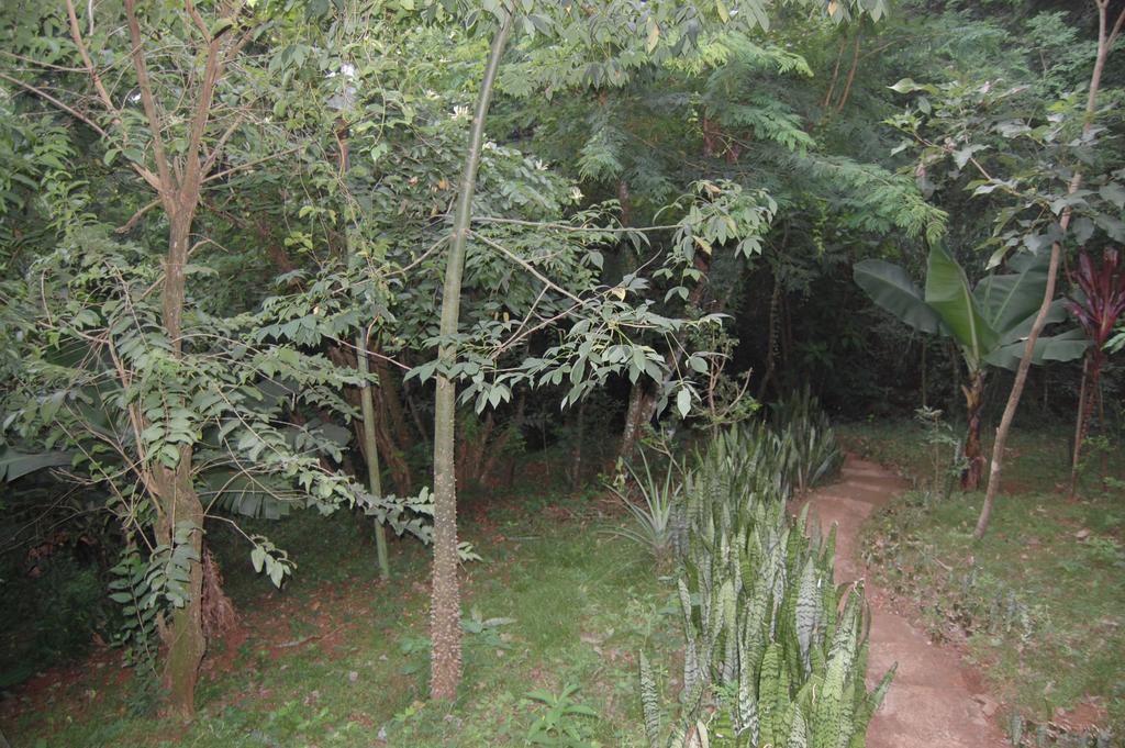 Panambi Lodge B&B ปูแอร์โตอีกวาซู ภายนอก รูปภาพ