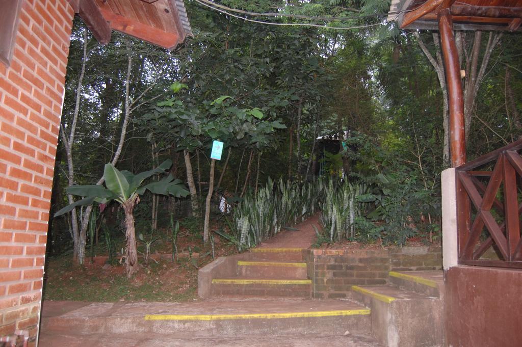 Panambi Lodge B&B ปูแอร์โตอีกวาซู ภายนอก รูปภาพ