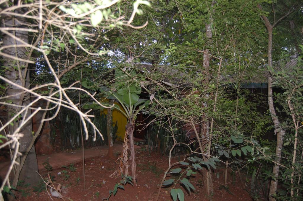 Panambi Lodge B&B ปูแอร์โตอีกวาซู ภายนอก รูปภาพ