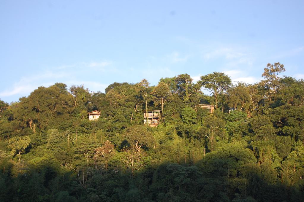Panambi Lodge B&B ปูแอร์โตอีกวาซู ภายนอก รูปภาพ