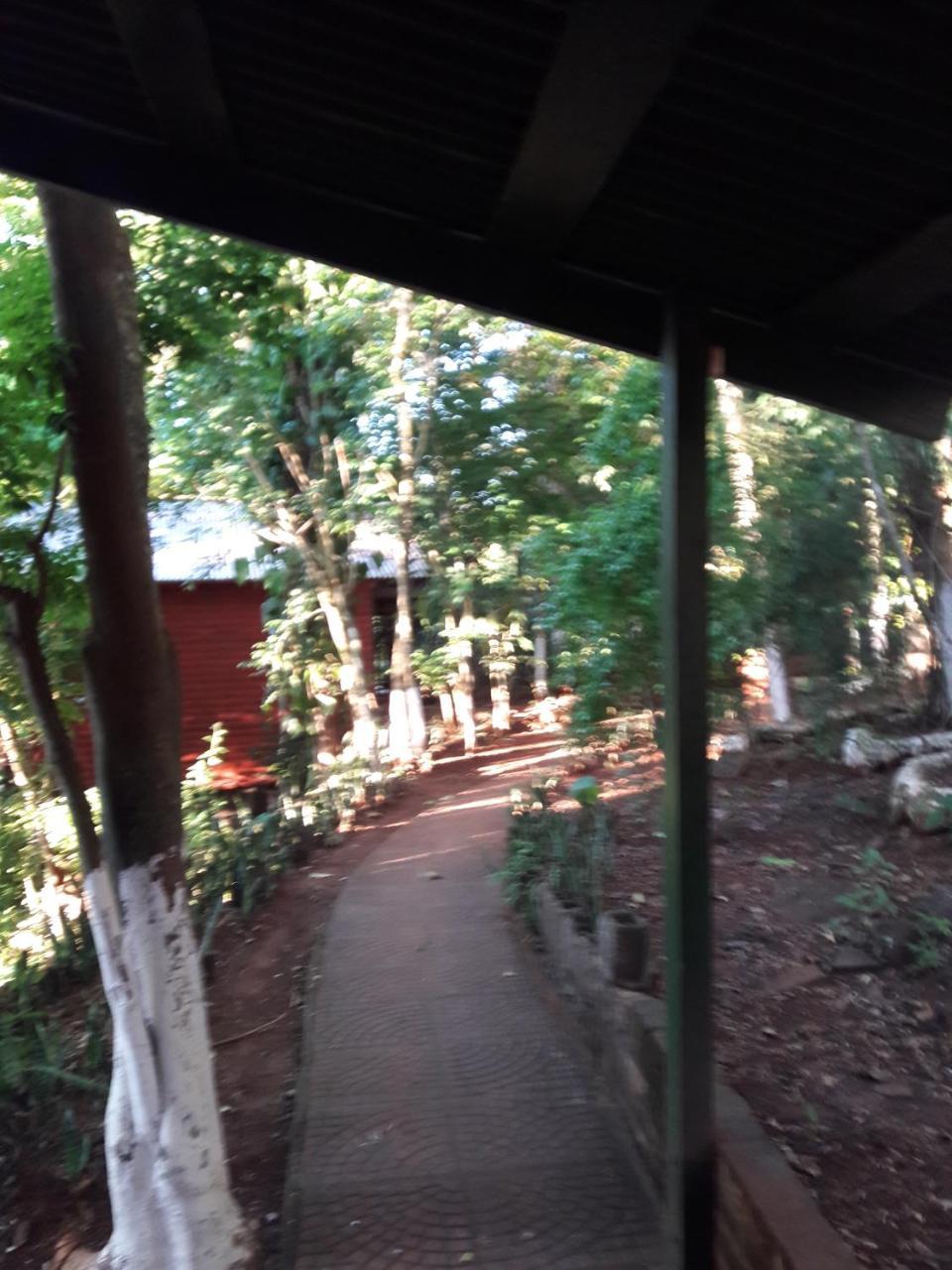 Panambi Lodge B&B ปูแอร์โตอีกวาซู ภายนอก รูปภาพ